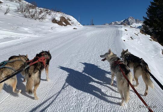 Savognin Winter Hiking