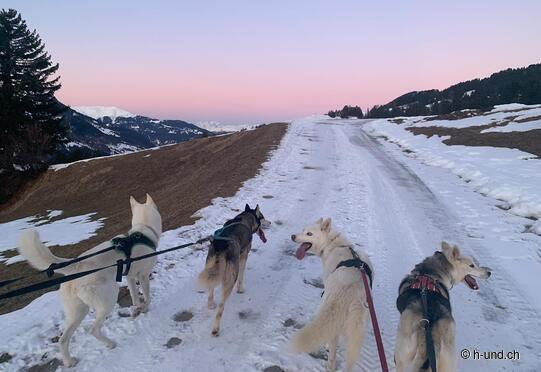 Peist ski house Hochwang-Arflina Furgga