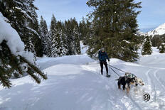 Schneeschuh­rundwanderung Alp Sellamatt