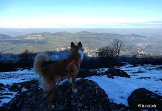 Seebodenalp glacier track