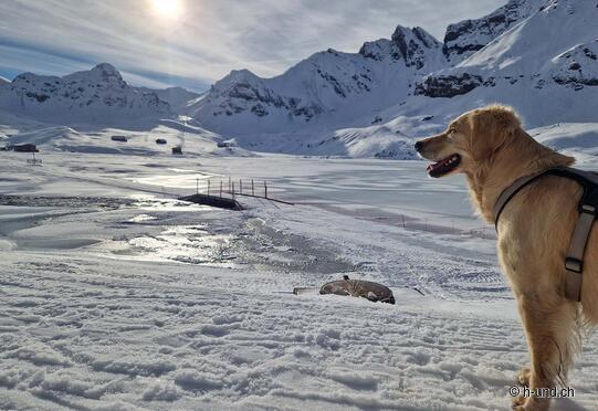 Tannalp-Winterwanderweg Melchsee-Frutt