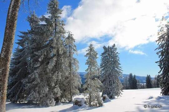 From Mt-Soleil to Mt-Croisin