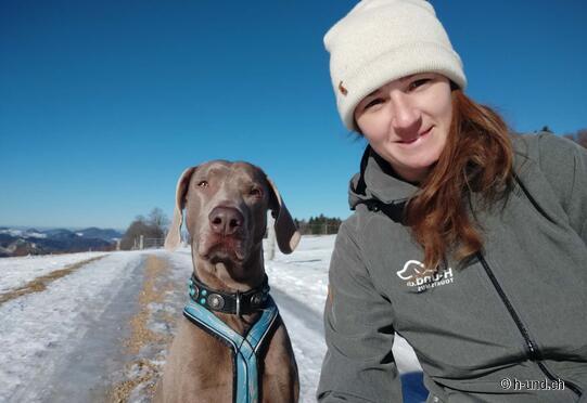 Waterfalls - Reigoldswil