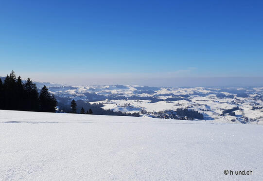Winterspass Hütten-Rossberg-Schindellegi mit Schlittelvergnügen