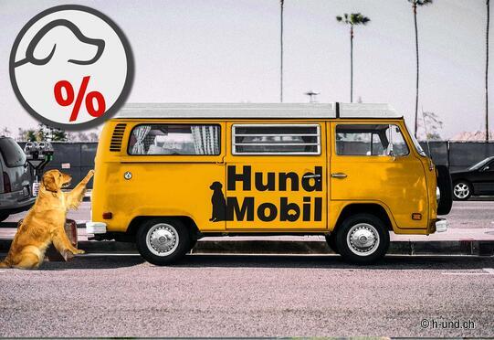 DogMobile GmbH