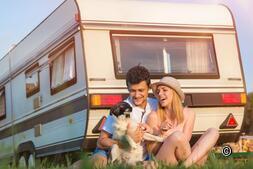 Camping-cars Suisse : expérience avec le chien