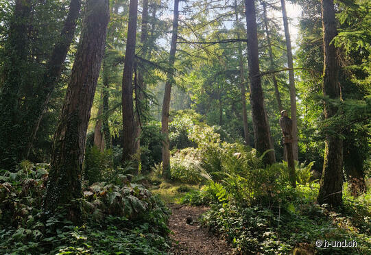 Parc du marais de Seleger