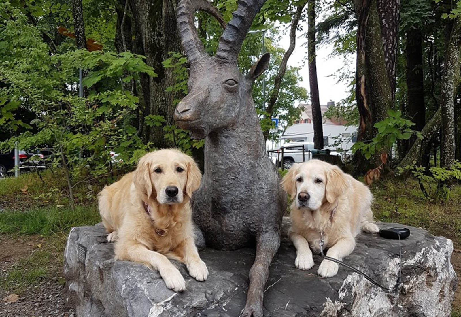 Wildpark Peter und Paul