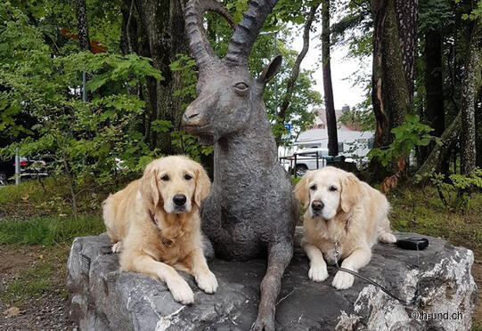 Wildlife Park Peter and Paul