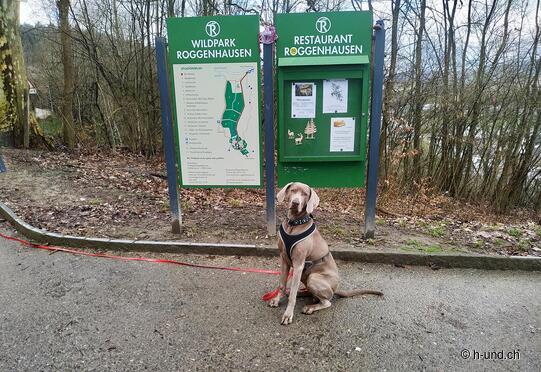Parc animalier de Roggenhausen Aarau